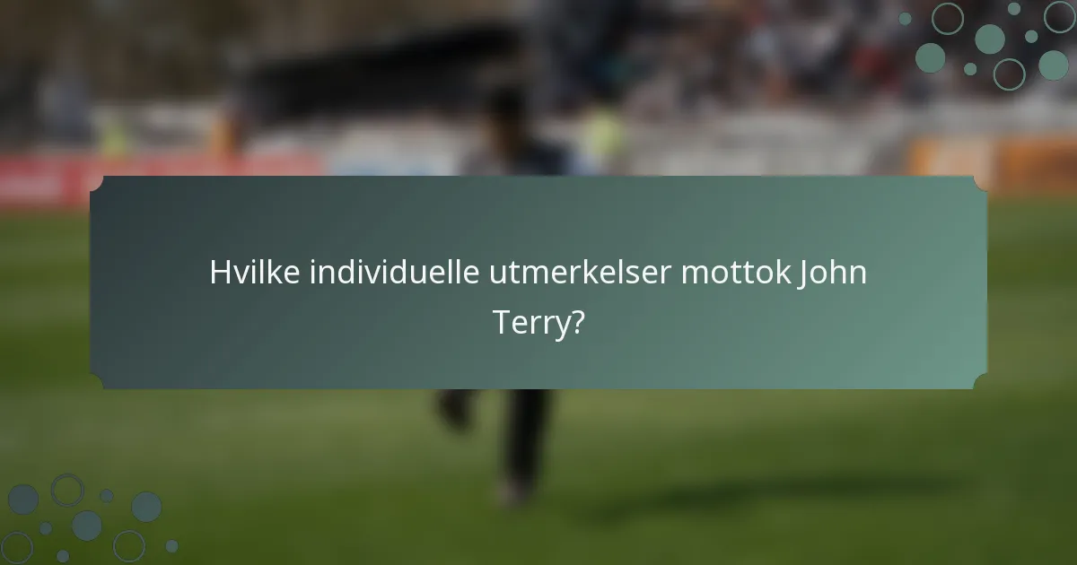 Hvilke individuelle utmerkelser mottok John Terry?