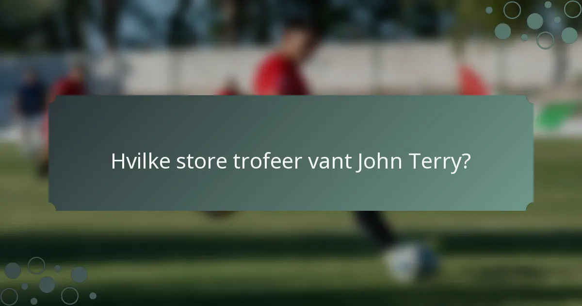 Hvilke store trofeer vant John Terry?
